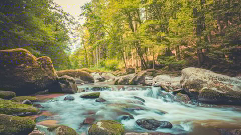 18 Film-inspired Recommendations for Landscape Music