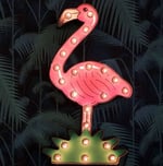 standard_flamingo