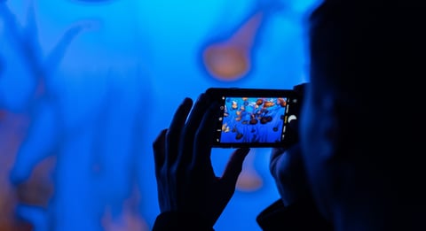 TikTok Video Ideas: A Guide for Filmmakers