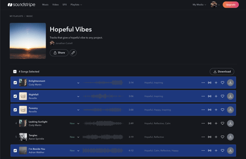Download Multiple Songs or SFX from My Playlists