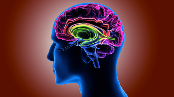 Rendering-of-human-head-and-colorful-brain