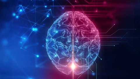 Why Every Filmmaker Needs to Know What Music Does to the Brain Before Choosing Royalty Free Music