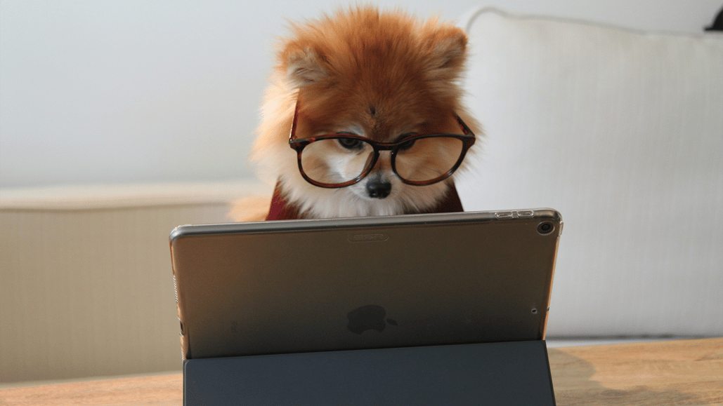 A dog toy wearing glasses appears to be looking at a tablet, in a scene from a video with great music for studying