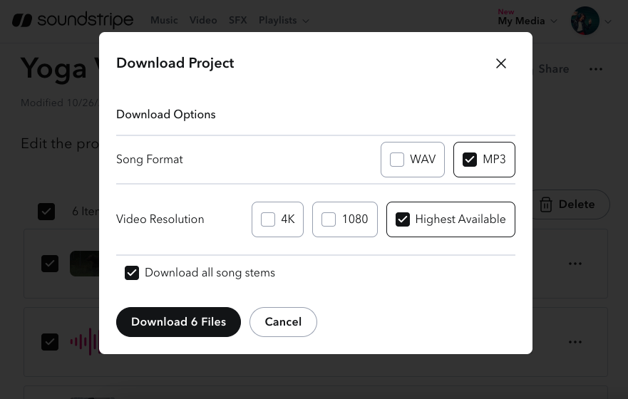 projects_download modal