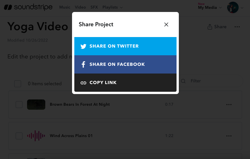 projects_share modal