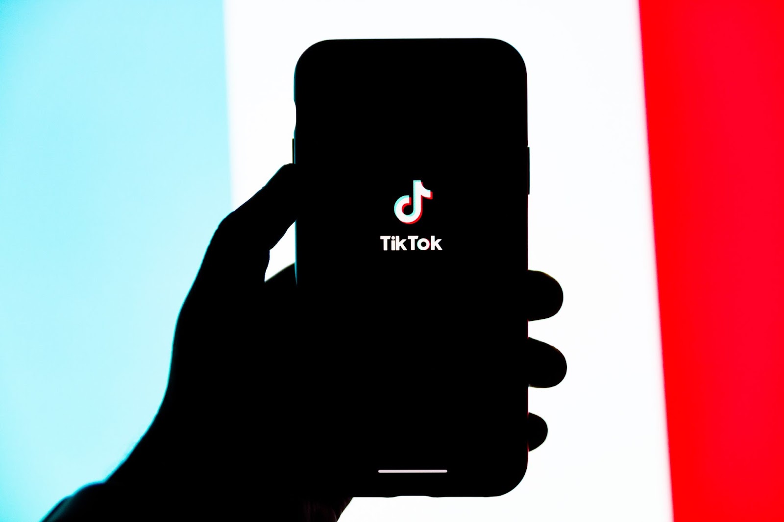 TikTok app on mobile