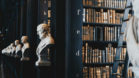 A library with stone busts and shelves of books about the importance of indemnity.